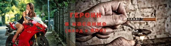 сатива Белокуриха