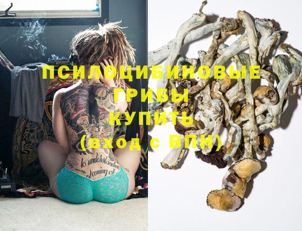 сатива Белокуриха