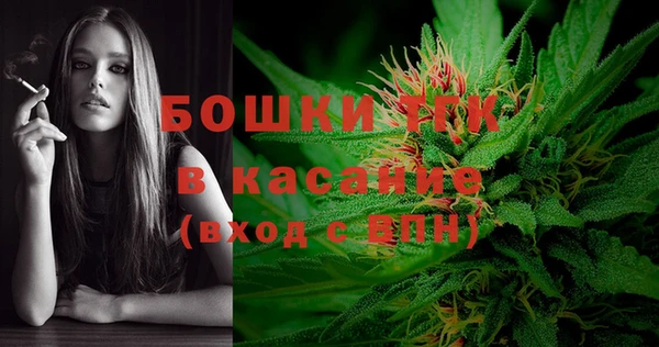 сатива Белокуриха