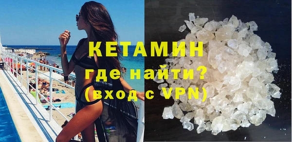 сатива Белокуриха
