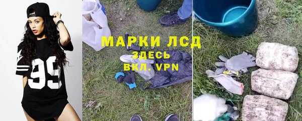 сатива Белокуриха