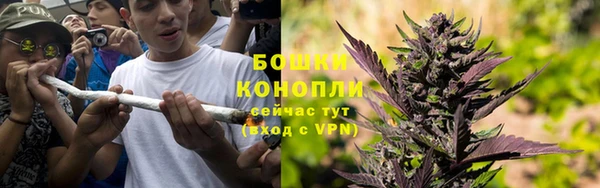 сатива Белокуриха